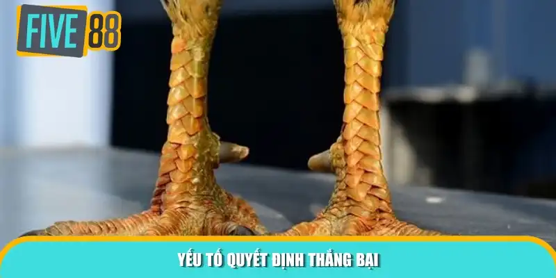 Yếu tố quyết định thắng bại