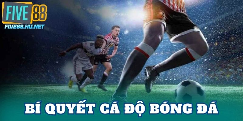 Bí Quyết Cá Độ Bóng Đá