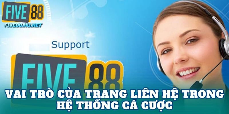 Vai trò của trang liên hệ trong hệ thống cá cược